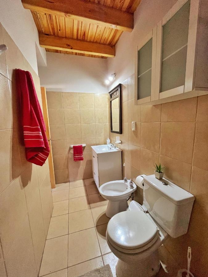Dpto Ayacucho Apartment Mendoza Ngoại thất bức ảnh